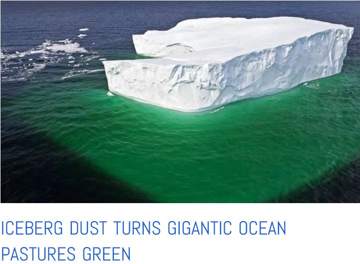 iceberg mineral dust turns the ocean green