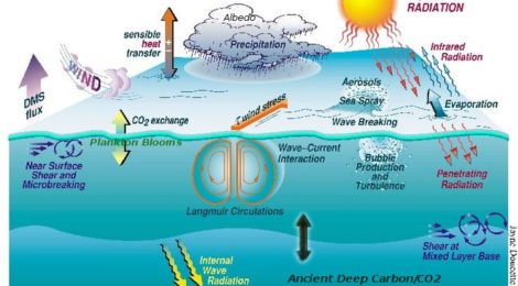 ocean carbon cartoon