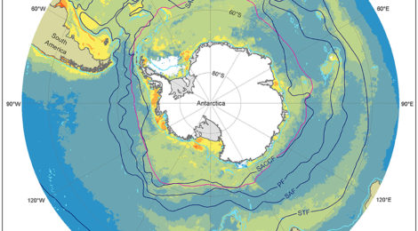 Southern Ocean Plankton Extinction Too Close For Comfort
