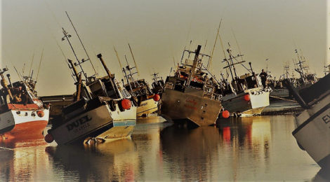 alaska salmon fleet hard aground