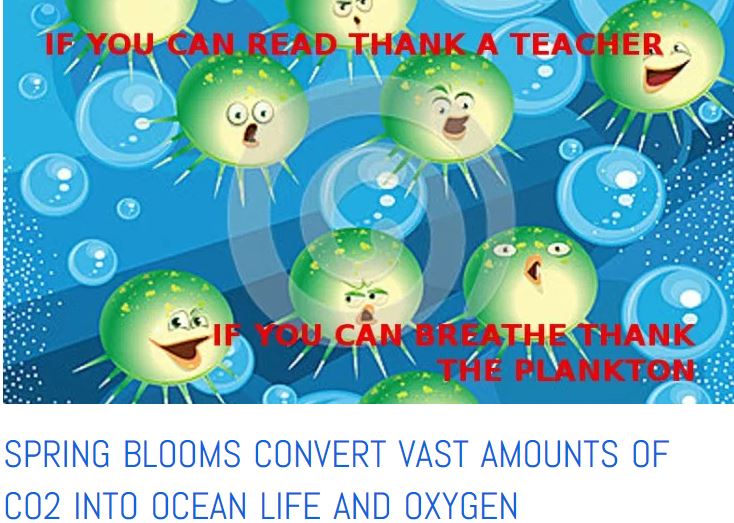 ocean oxygen 