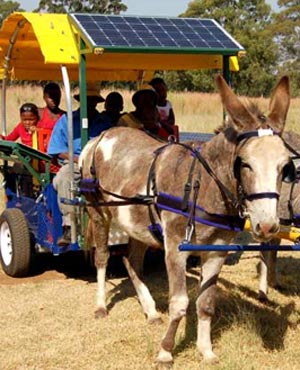 donkey cart pat of green plan
