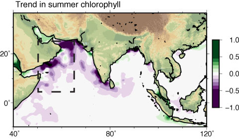 Indian ocean chlorophyll trends