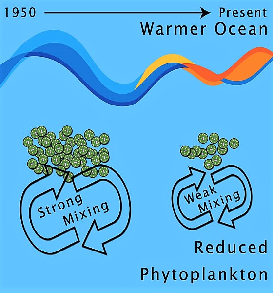 Ocean warming pasture decline