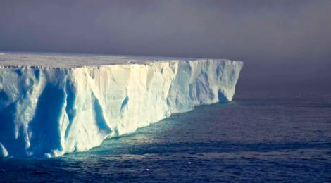 Larsen C iceberg