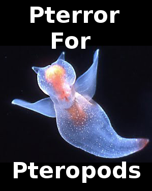 Pterror for Pteropods