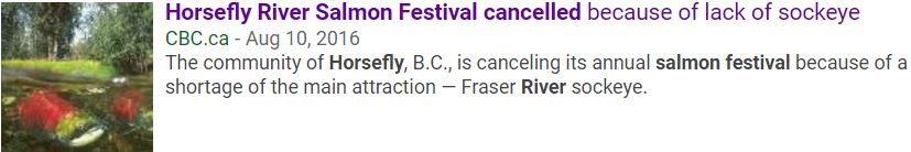 sockeye festival cancelled