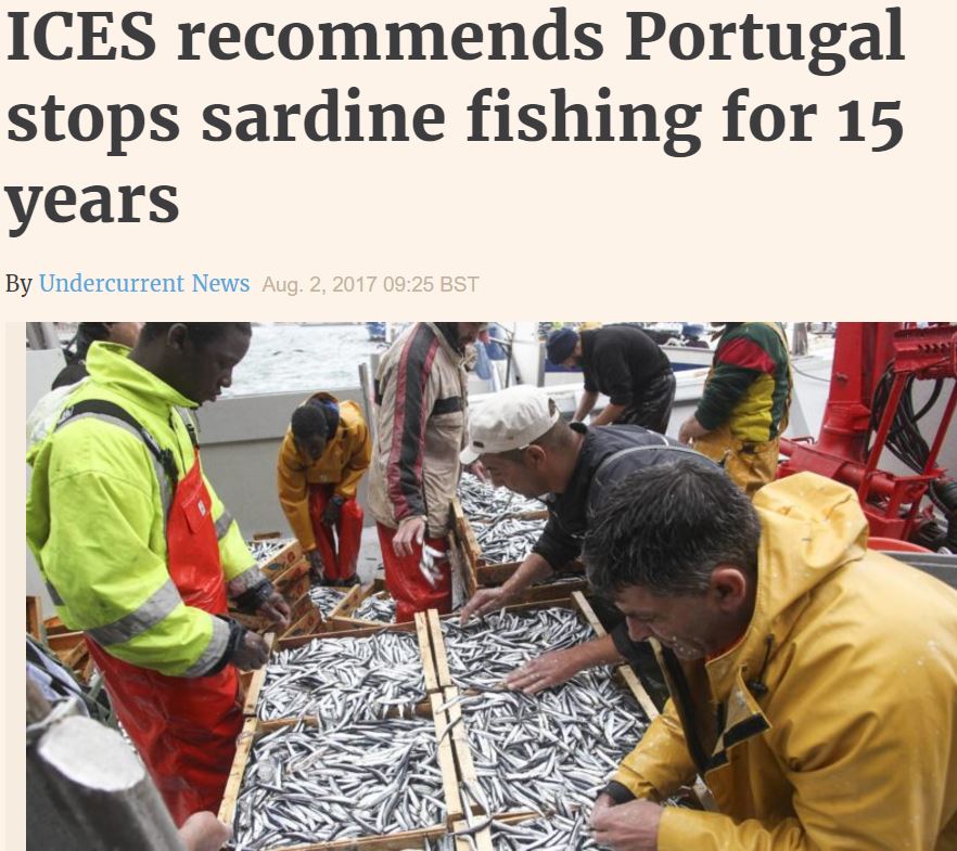 sardine fishery halt 