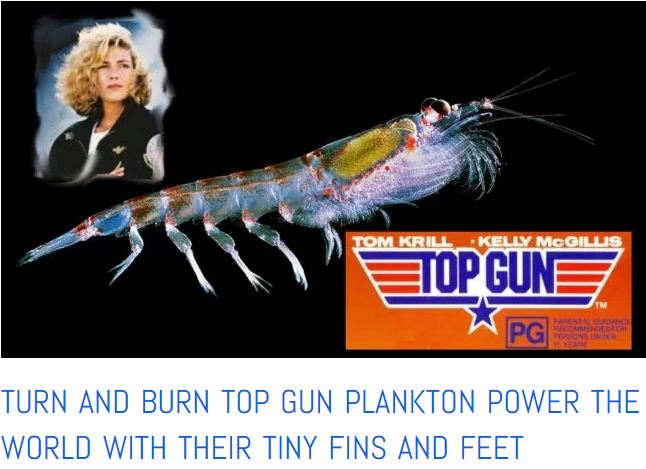 turn and burn plankton power