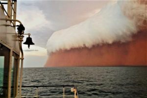 dust feeds ocean pastures