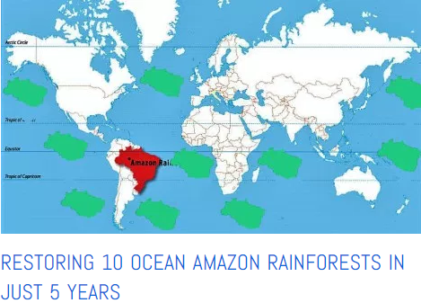 Amazon forests of the oceans