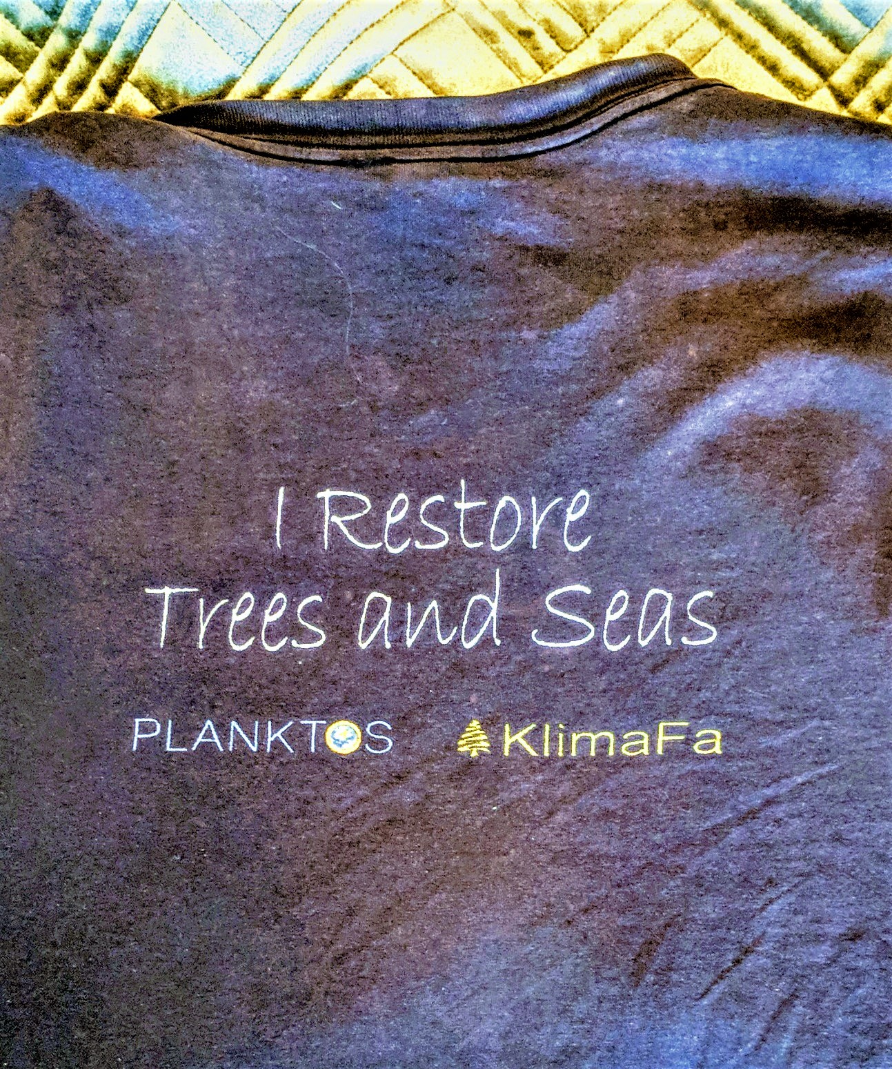Trees and Seas T-Shirt at the start of the climate war