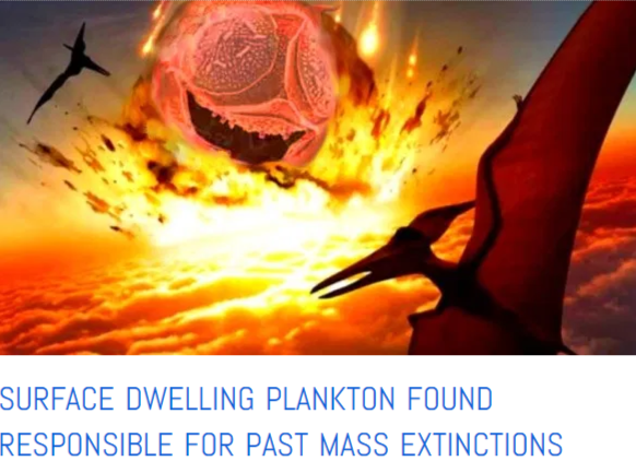 ocean plankton mass extinctions