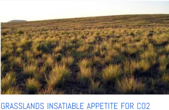 grasslands greening in high CO2 times