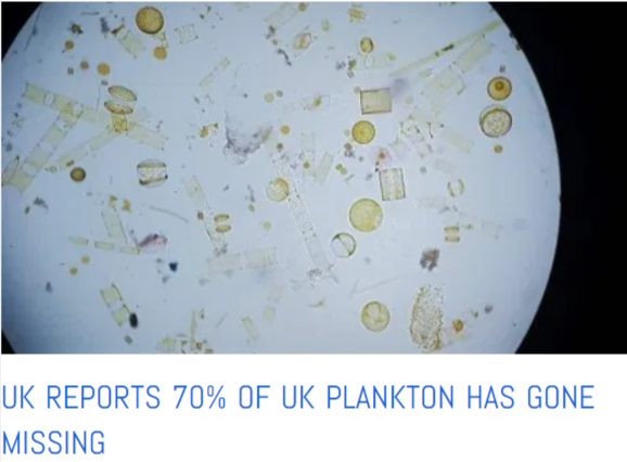 70% UK PLankton missing