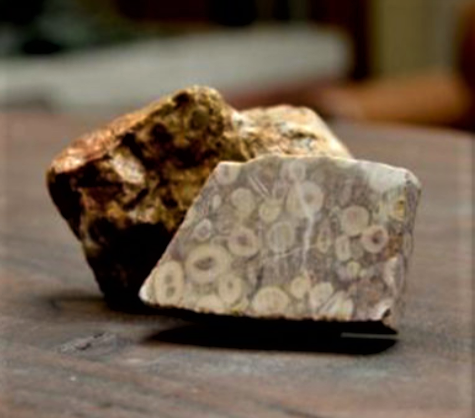 Ancient paleozoic Iranian Seabed Rock