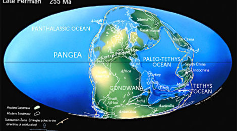 paleozoic oceans