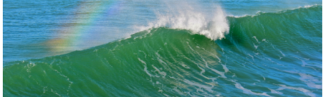 At the heart of every raindrop is a tiny speck of plankton