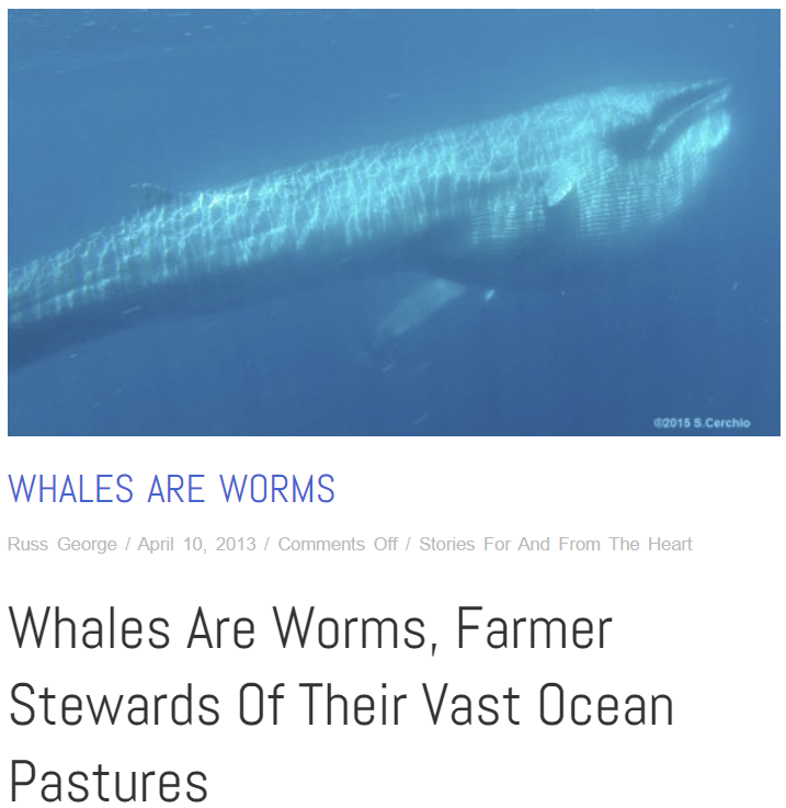 Whales are worms
