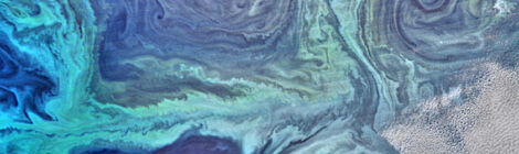 Plankton from space southern ocean