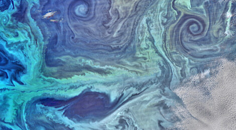 Plankton from space southern ocean