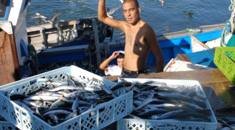 sardine fishing pPortugal