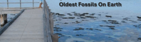 Original life on Earth