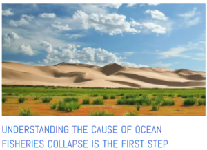 more grass growing means less dust blowing