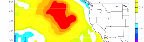 It's Not the Weather: The Mystery of the Warm Blob is Due to Collapse of North Pacific Ocean Plankton Pastures