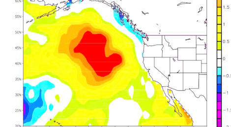 It's Not the Weather: The Mystery of the Warm Blob is Due to Collapse of North Pacific Ocean Plankton Pastures