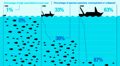 Fewer fish in the sea
