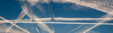 Nature, Not Noxious Sulfur: A Market-Savvy Path to Cooling the Planet