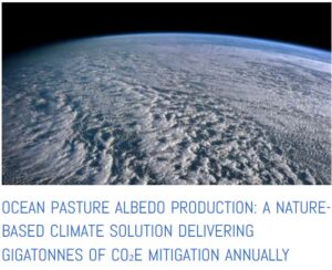 Albedo from plankton