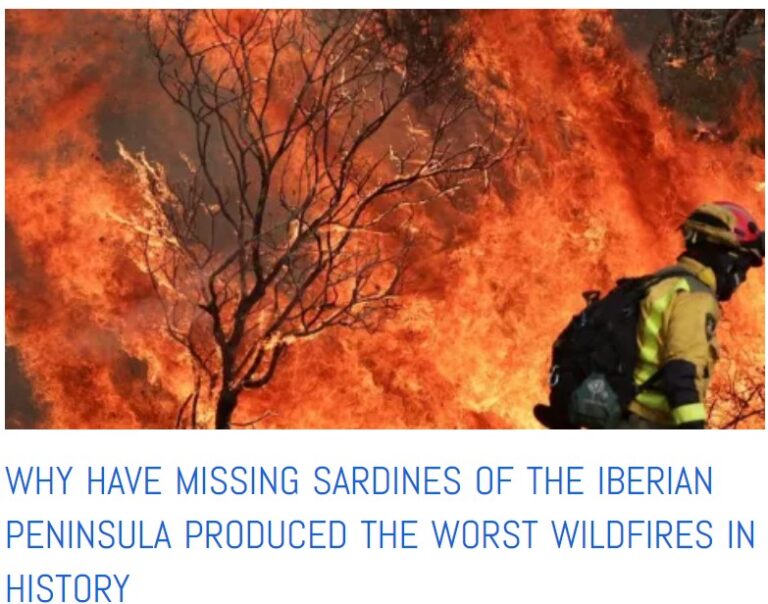 Iberian wildfires