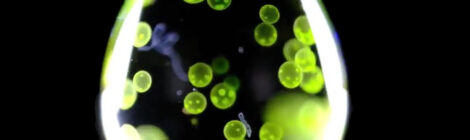 A Drop in the Ocean: Turning The Metaphor Of The Minimum Into The Maximum