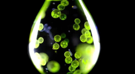 A Drop in the Ocean: Turning The Metaphor Of The Minimum Into The Maximum