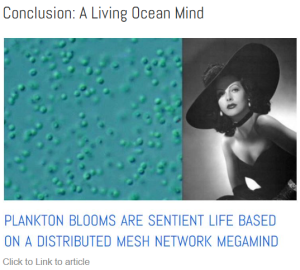 Hedy Lamar and Plankton Bloom Megaminds