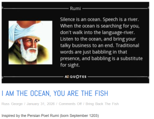 Rumi - I am the ocean, you are the fish