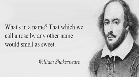 A Rose by any other name might be plankton