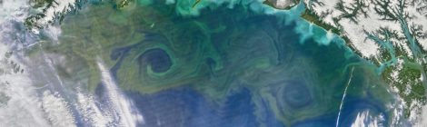 Ocean Pastures Alaska