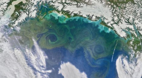 Ocean Pastures Alaska