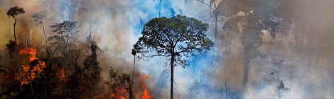 Amazon burning 1