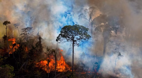 Amazon burning 1