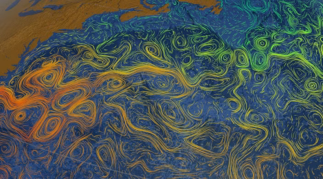 We Must Restore The Ocean's Lost Motion